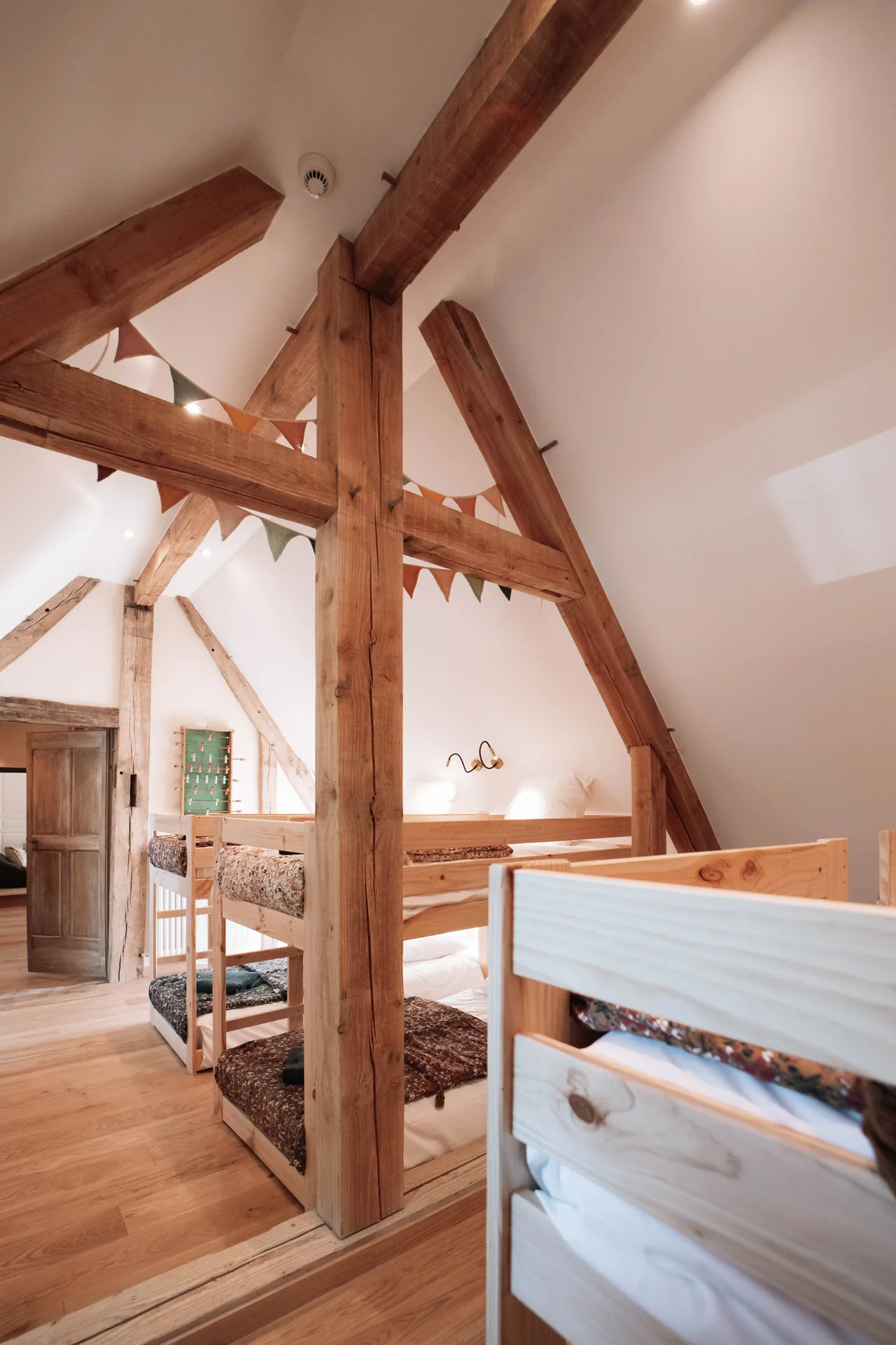 La Chouette hulotte - dortoir — photo 5