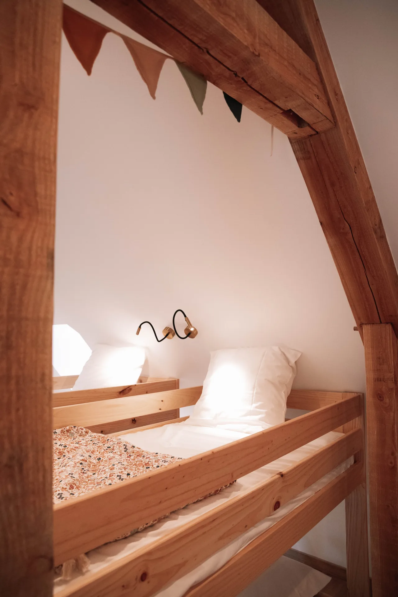 La Chouette hulotte - dortoir — photo 7