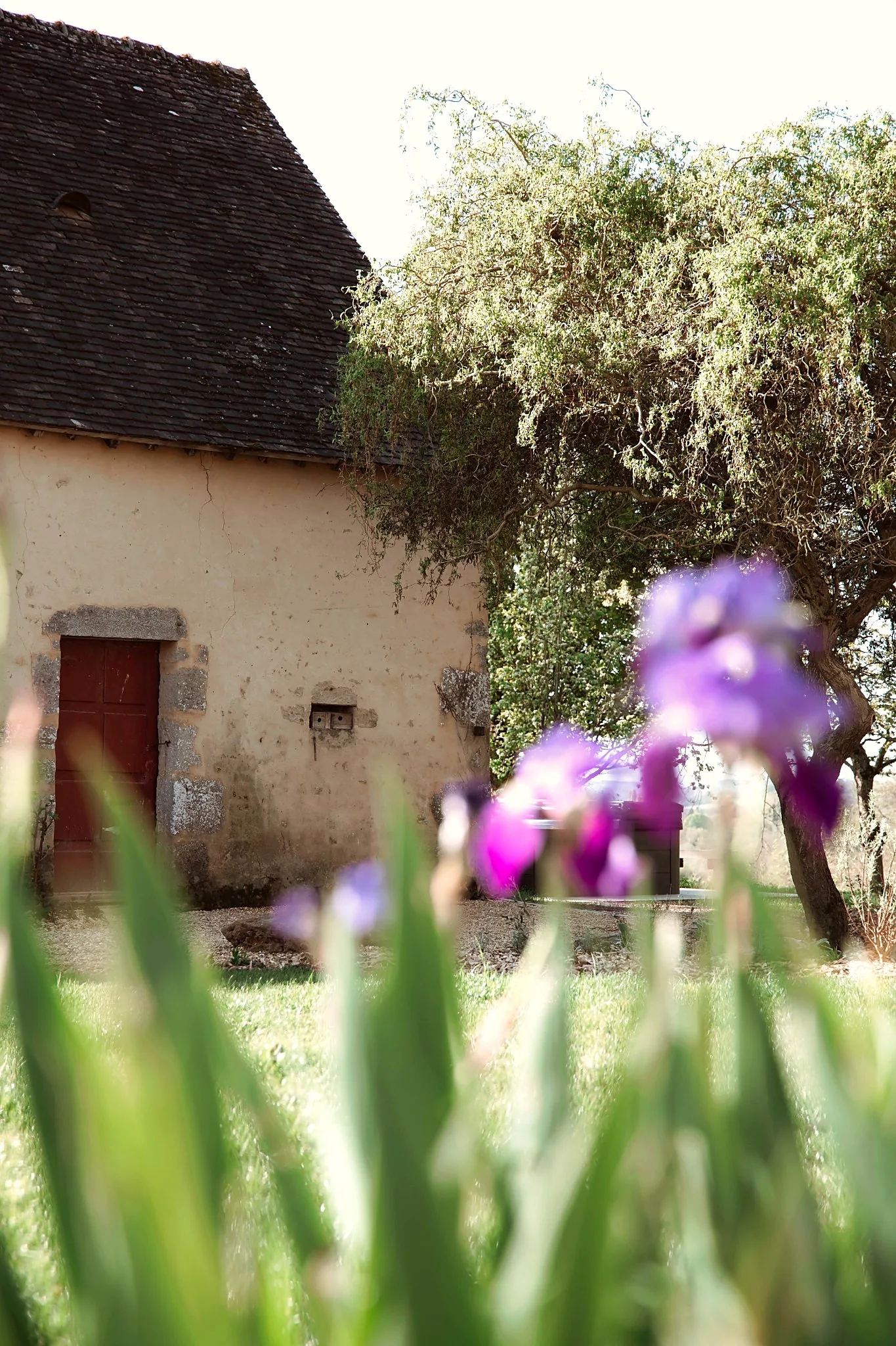 Extérieurs — Maison Oiserie
